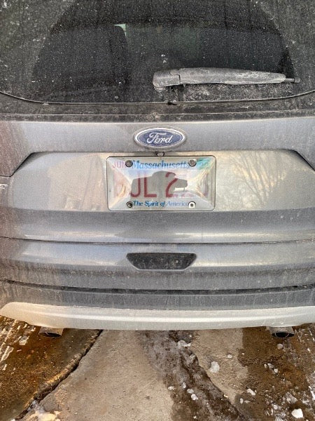 Tinted License Plate Privacy Cover Anti-Camera (smoke)